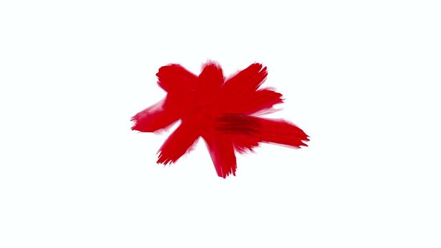 A brush stroke of a  solid star with many corners