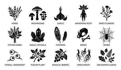 Halloween witchcraft ingredients herbs mushrooms spells magic vector collection © Graphicmuseum01