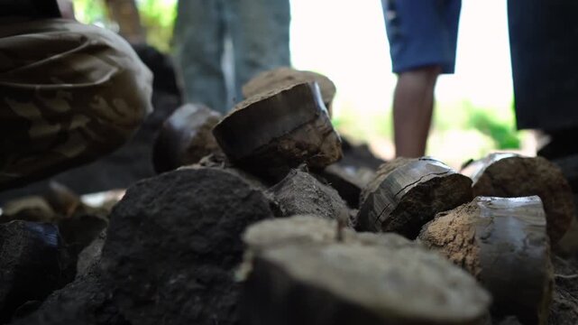 Extracted subsurface soil specimens are prepared for laboratory testing and engineering analysis to evaluate ground conditions before foundation and infrastructure construction in Sumy, Ukraine. 