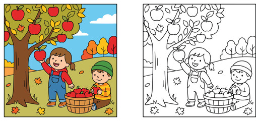 Fototapeta premium Autumn apple picking coloring page and color version vector illustration for kids activity book with boy and girl harvesting apples in orchard garden
