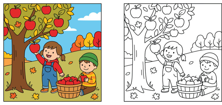 Autumn apple picking coloring page and color version vector illustration for kids activity book with boy and girl harvesting apples in orchard garden