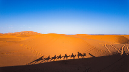 Sahara desert Morocco © Olivier Wong