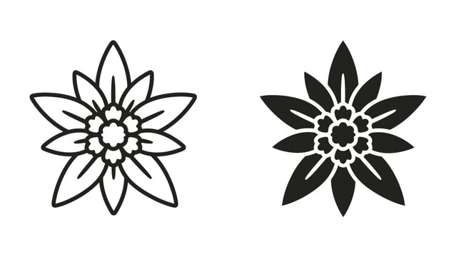Edelweiss Flower Icon Duo: A pair of edelweiss flower icons, one outlined and the other solid black, symbolizing purity and alpine beauty.