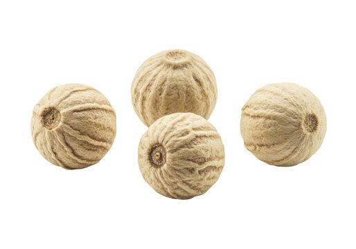 Four whole, dried white peppercorns with intricate wrinkled texture, creamy off-white color, isolated on a transparent background with copy space. Concept for premium culinary ingredients
