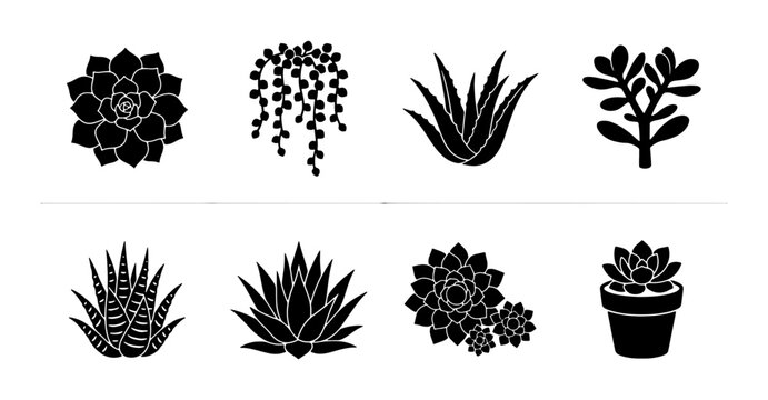 Succulent Plant Silhouettes, Vector Icons Set: Echeveria, String of Pearls, Aloe Vera, Jade Plant, Haworthia, Agave, Potted Succulent Collection for Botanical Design and Garden Graphics