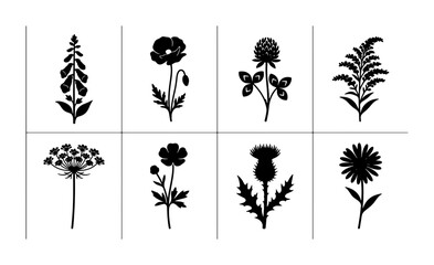 Set of 8 Black Silhouette Wildflowers and Botanicals, Vector Floral Icons for Nature Designs, Garden Elements, and Decorative Art © siam