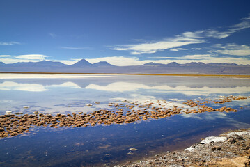 Atacama Desert Chile Lagunas Salares © Gustavo