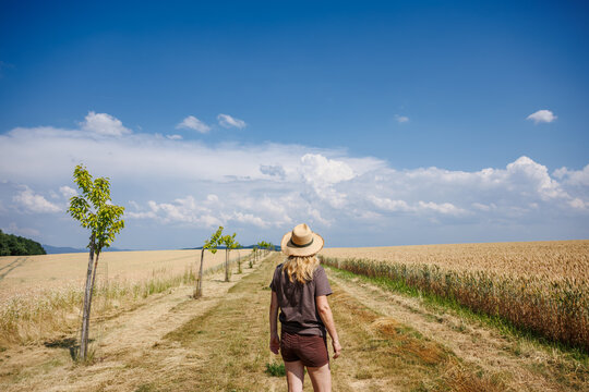 Woman farmer standing on farm field looking at clouds on horizon awaiting rain. Arid season on farmland