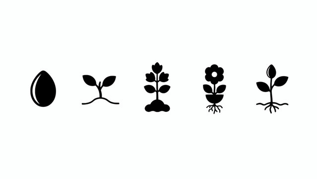 Plant Growth Stages Icons: Seed, Sprout, Seedling, Flowering Plant, Fruiting Plant