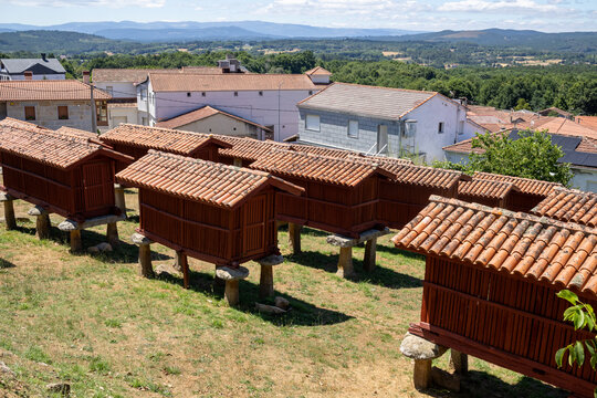 Panoramic view of the large architectural complex of traditional Galician horreos, historic stone and wooden granaries built on stilts on a green hillside in A Merca, Spain.