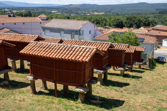 Panoramic view of the large architectural complex of traditional Galician horreos, historic stone and wooden granaries built on stilts on a green hillside in A Merca, Spain.