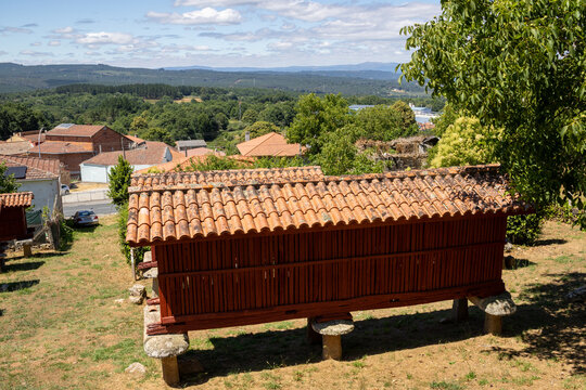 Panoramic view of the large architectural complex of traditional Galician horreos, historic stone and wooden granaries built on stilts on a green hillside in A Merca, Spain.