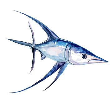 watercolor graphic of Swordfish illustration, isolated on a white background.