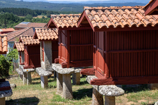 Panoramic view of the large architectural complex of traditional Galician horreos, historic stone and wooden granaries built on stilts on a green hillside in A Merca, Spain.