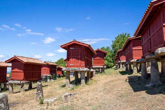 Group of traditional Galician horreos, historic stone and wooden granaries built on stilts for grain storage, in the village of A Merca, Ourense, Galicia, Spain.
