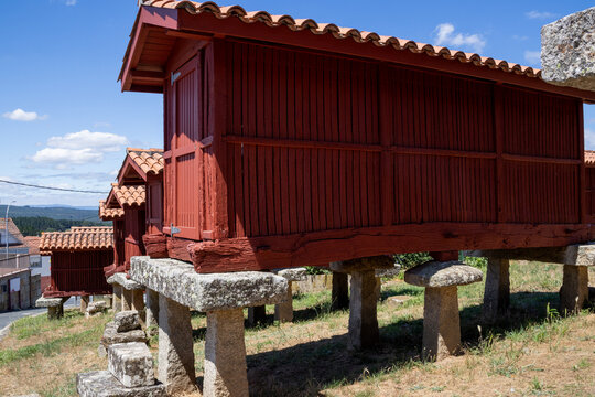 Group of traditional Galician horreos, historic stone and wooden granaries built on stilts for grain storage, in the village of A Merca, Ourense, Galicia, Spain.