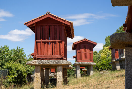 Group of traditional Galician horreos, historic stone and wooden granaries built on stilts for grain storage, in the village of A Merca, Ourense, Galicia, Spain.
