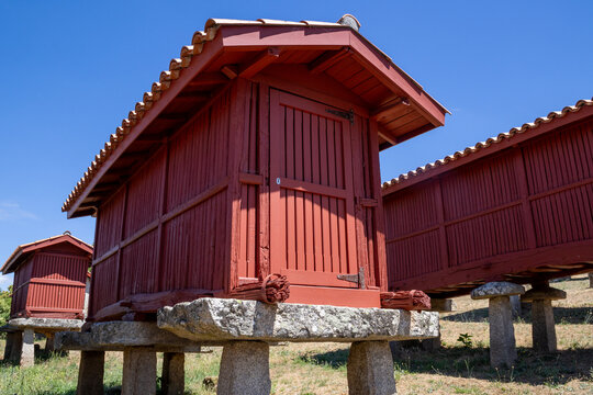 Group of traditional Galician horreos, historic stone and wooden granaries built on stilts for grain storage, in the village of A Merca, Ourense, Galicia, Spain.