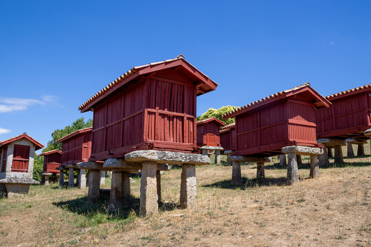 Panoramic view of the large architectural complex of traditional Galician horreos, historic stone and wooden granaries built on stilts on a green hillside in A Merca, Spain.