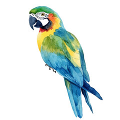 Parrot, high quality watercolor, isolated on a white background, vibrant details. © teralis