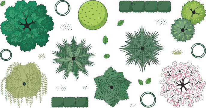Set of architectural landscape design vector icons showing top view trees bushes hedges and blooming cherry blossom elements for garden master plans