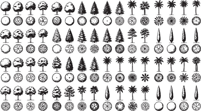 Collection of hand drawn tree silhouettes with top view projections for architectural landscape design and site planning