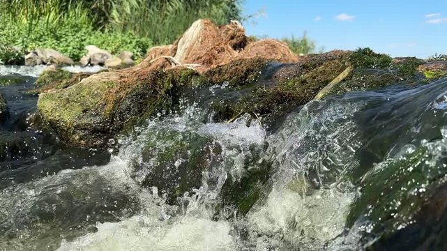 Slow motion close-up of water splashing over moss-covered rocks in a natural stream. Bright summer sunlight highlights flowing water, green reeds, and river stones along the bank