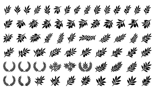 Classical Laurel Wreath and Botanical Olive Leaf Branch Icon Set Featuring Black Silhouette Foliage Sprigs for Victory Award and Premium Crest Logo Designs