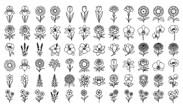 Hand Drawn Floral and Botanical Icon Set Featuring Minimalist Flower Line Art and Stems for Aesthetic Logo Branding and Pattern Designs