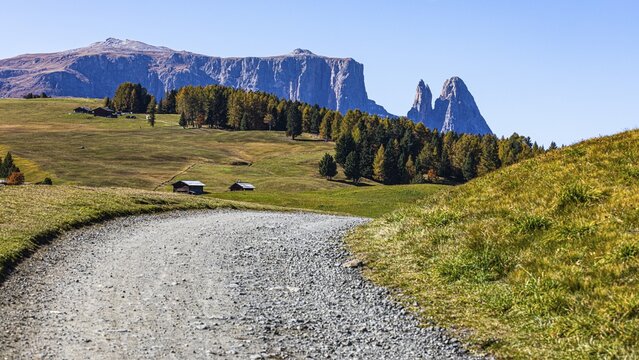 Gravel road on the Alpe di Siusi, behind the peak of the Sciliar, Val Gardena, Dolomites, South Tyrol, Italy