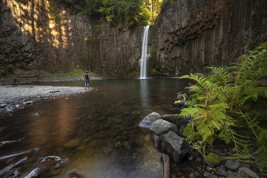 Young man in front of waterfall, rock face with basalt columns, fern on shore, Abiqua Falls, Oregon, USA