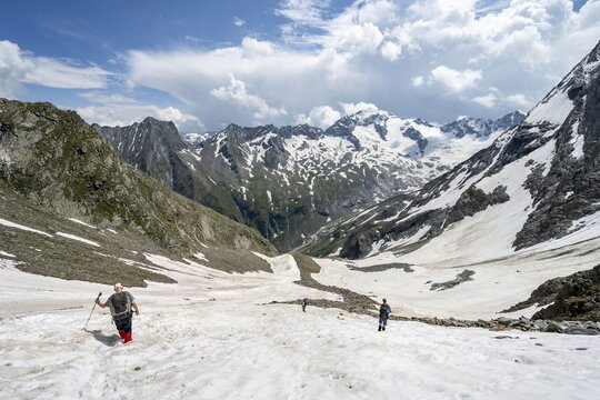 Mountaineers hiking in a snowfield, N&ouml;rdliche M&ouml;rchnerscharte, behind mountain peak Kleiner M&ouml;rchner and Greizer Spitze with snow, Berliner H&ouml;henweg, Zillertal Alps, Tyrol, Austria