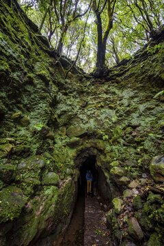 Hiker on a hiking trail, entrance to a tunnel, in dense forest with moss and fern, Levada do Caldeir&atilde;o Verde, Parque Florestal das Queimadas, Madeira, Portugal