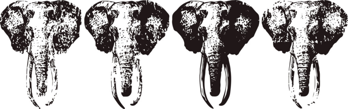 black and white stylized elephant heads with raised trunks tribal african art inspired design four variations in a row