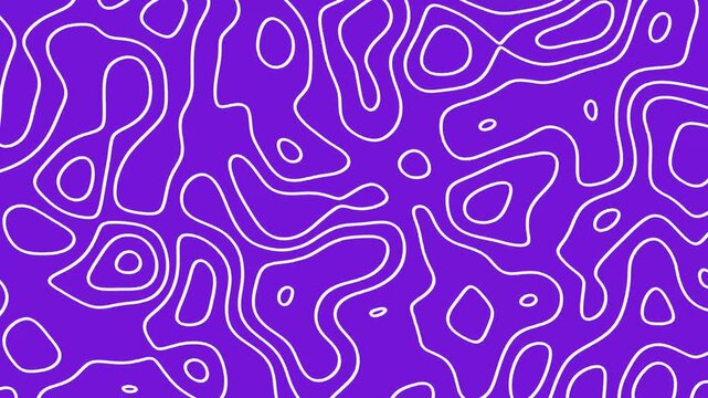 Abstract topography background geo map pattern motion graphic video footage - Animated purple color topographic map background