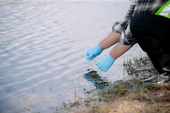Ecologist collects water sample near shoreline for environmental study and analysis of aquatic ecosystems