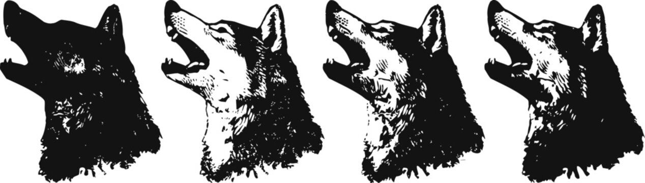 four black and white alaskan malamute dog heads howling with open mouths