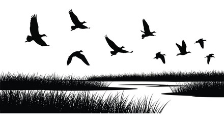 Flying birds over water and grass black silhouette avian flight © Roja