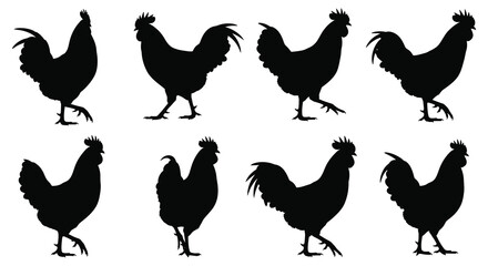Eight rooster silhouettes in various poses against a white background silhouette © Roja