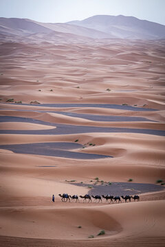 Camels caravan in Sahara desert in Merzouga Morocco at sunrise