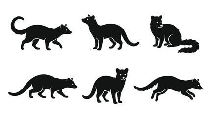 Obraz premium Black silhouette of a civet climbing