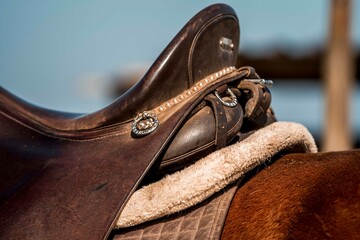 Close-up of brown leather English saddle on chestnut horse with quilted and fleece saddle pad in outdoor stable © PIC by Femke