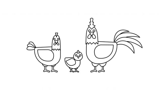 hen chicken chick rooster line animation video footage