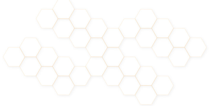Abstract Modern simple style hexagonal graphic concept. 3d Futuristic abstract honeycomb technology white background. Luxury white hexagon pattern.