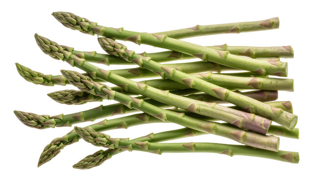 Isolated fresh green asparagus spears forming a healthy and raw vegetable bundle.
