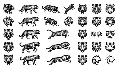 Hand Drawn Tiger Predator Tattoo Logo Set with Black Ink Wild Cat Vector Illustration © MSTSHABANA
