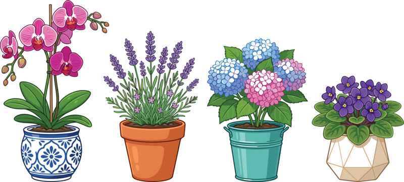 Potted Indoor Flowers Vector Set Featuring Purple Orchid Lavender Blue Hydrangea and African Violet in Decorative Pots for Home Gardening and Florist Shop Designs