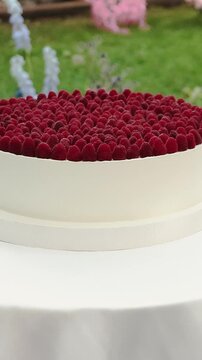 Vertical video. Round wedding cake topped with fresh raspberries at an outdoor wedding reception.