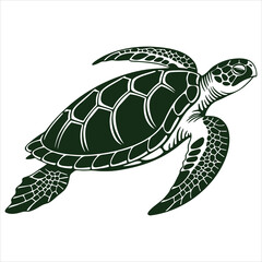 Sea turtle vector illustration, dark green marine reptile silhouette isolated on white background © Dipto
