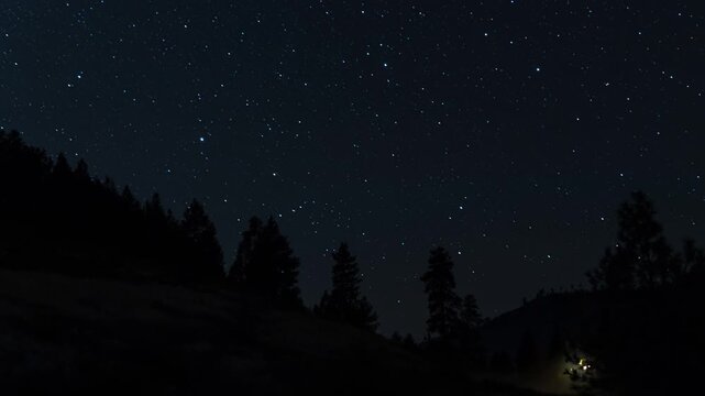 Night sky over forested landscape with stars